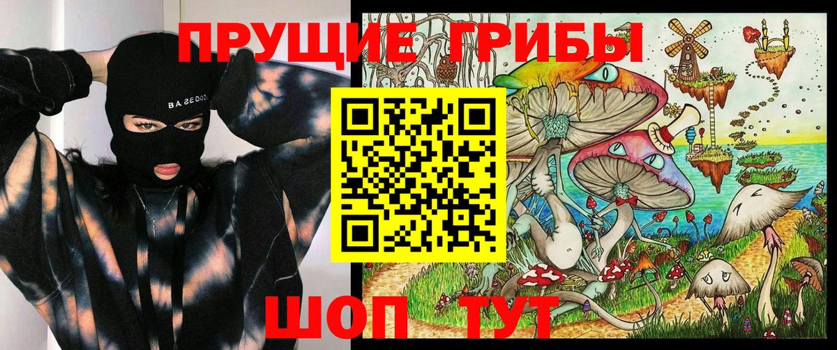 Лесной  Псилоцибиновые грибы Cubensis  Вход с VPN 
